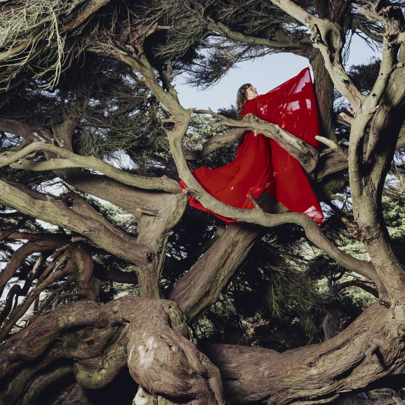 Hannah Frances - Nested in tangles (LP)