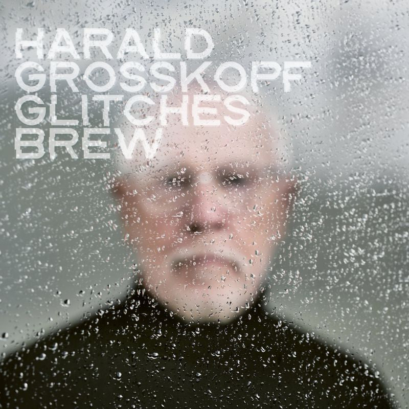 Harald Grosskopf - Glitches brew (LP)