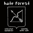 Hate Forest - Celestial wanderer / sowing with salt (CD) - Velvet Music