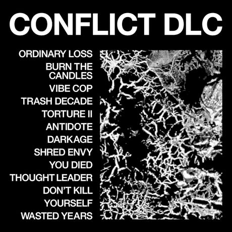 Health - Conflict dlc (LP) - Velvet Music