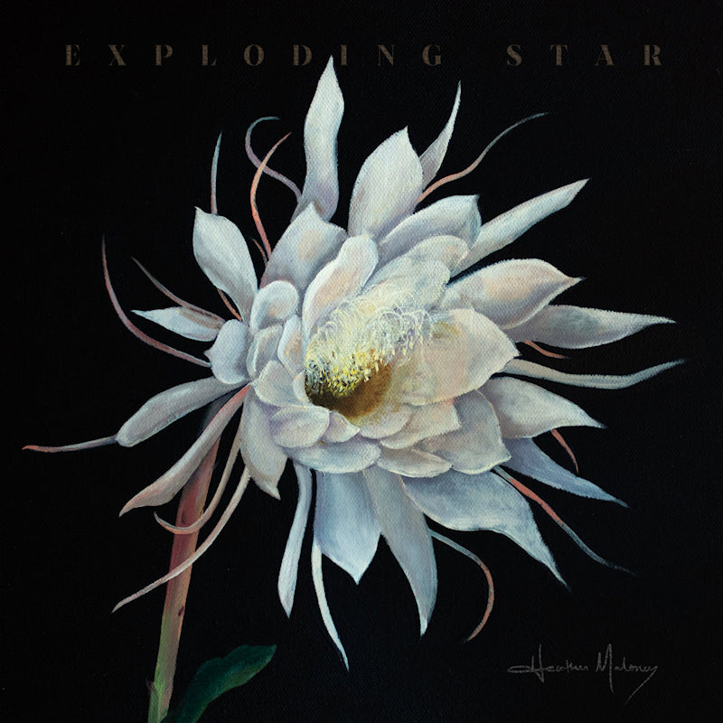 Heather Maloney - Exploding star (CD)