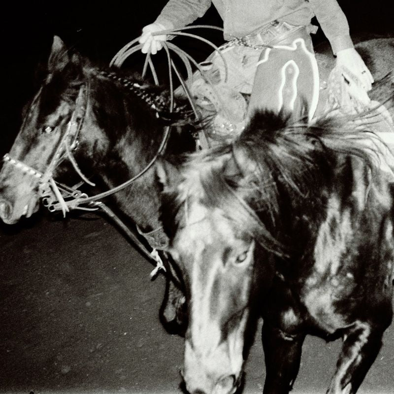 Holy Motors - Heaven's night (LP)