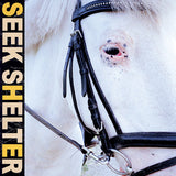 Iceage - Seek shelter (CD) - Velvet Music