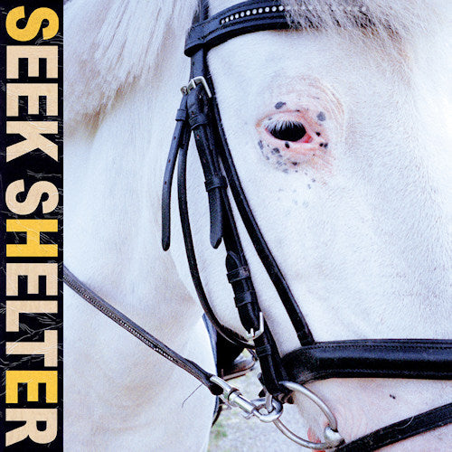 Iceage - Seek shelter (CD) - Velvet Music