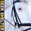 Iceage - Seek shelter (LP) - Velvet Music