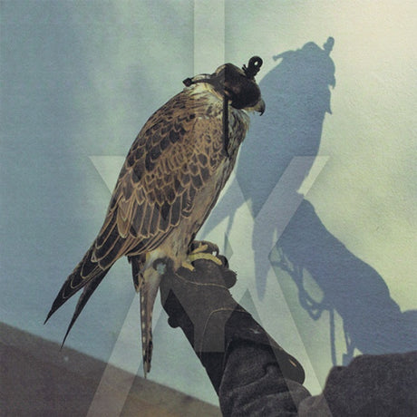 Iceage - You're nothing (LP) - Velvet Music
