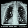 Idles - Caught stealing (the original motio (LP) - Velvet Music