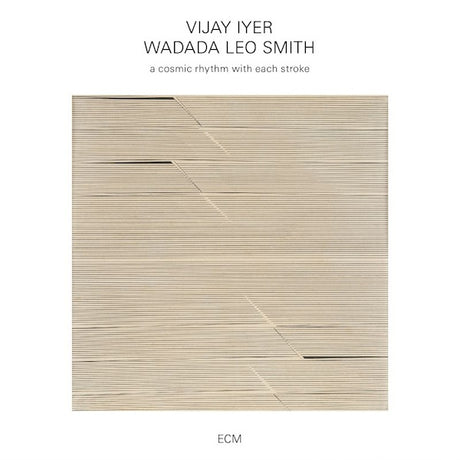 Vijay Iyer / Leo Smith - A cosmic rhythm with each stroke (CD) - Velvet Music