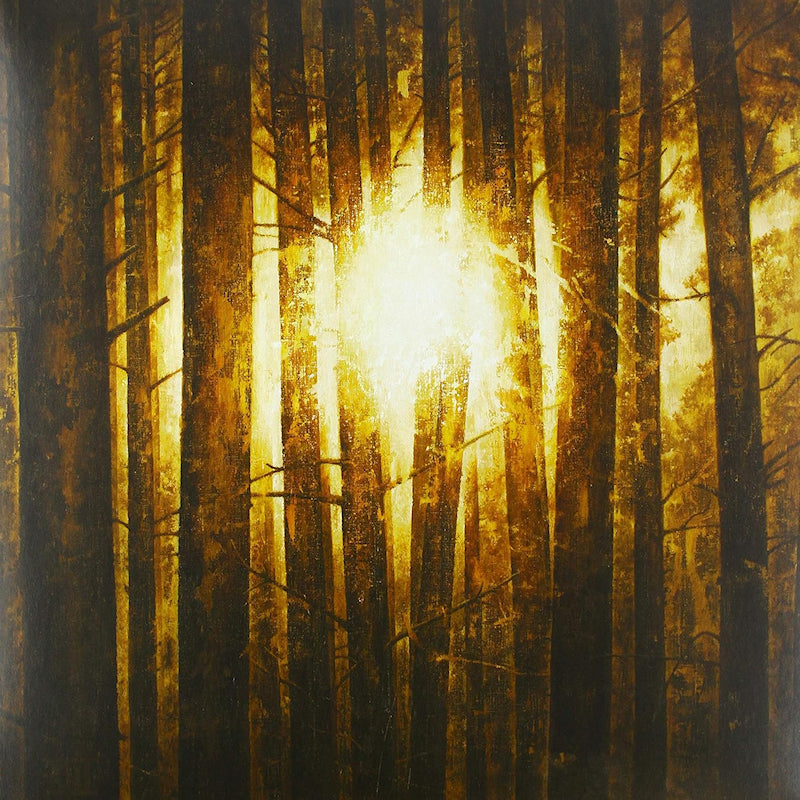 In Mourning - Echoes (LP)