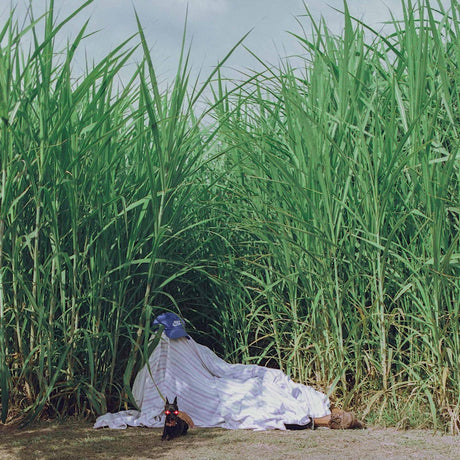 Indus - Negra (LP) - Velvet Music