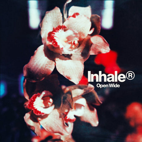 Inhaler - Open wide (LP) - Velvet Music