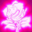 Irene Drezel - Rose fluo (LP) - Velvet Music