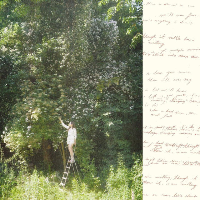 Ivy Falls - Sense & nonsense (LP) - Velvet Music