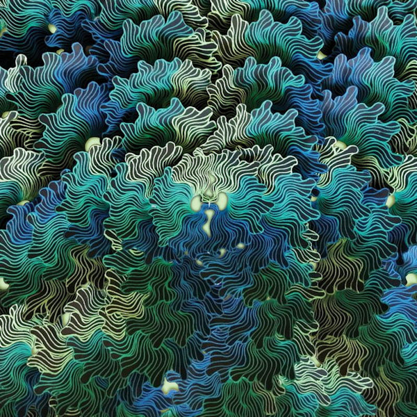 Izangoma - Ngo ma (CD) - Velvet Music