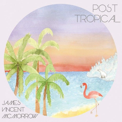 James Vincent Mcmorrow - Post tropical (CD)
