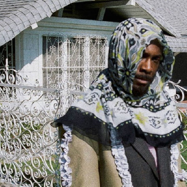 Jpegmafia - All my heroes are cornballs (LP) - Velvet Music
