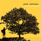 Jack Johnson - In between dreams (LP) - Velvet Music