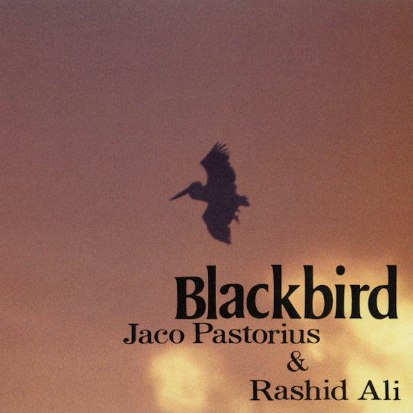 Jaco Pastorius & Rashied Ali - Blackbird (CD) - Velvet Music