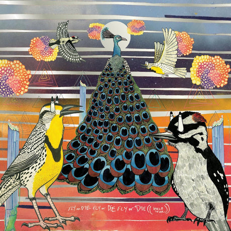 Jaimie Branch - Fly or die fly or die fly or die ((world war)) -turtle shell vinyl- (LP) - Velvet Music