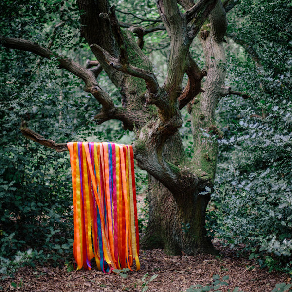 James Holden & The Animal Spirits - The animal spirits (CD) - Velvet Music