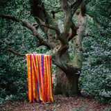 James Holden & The Animal Spirits - The animal spirits (CD) - Velvet Music