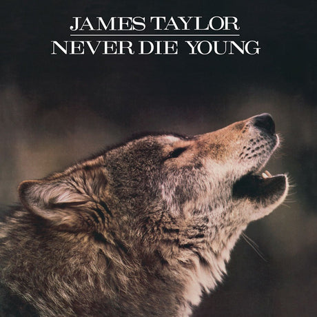 James Taylor - Never die young (LP) - Velvet Music