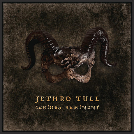 Jethro Tull - Curious ruminant (CD) - Velvet Music