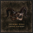 Jethro Tull - Curious ruminant (LP) - Velvet Music