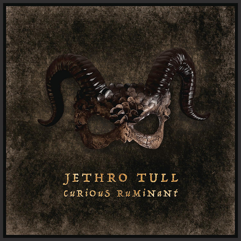 Jethro Tull - Curious ruminant (LP) - Velvet Music