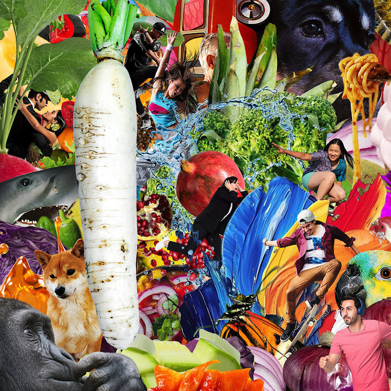 Jetski - The radiant radish (CD)