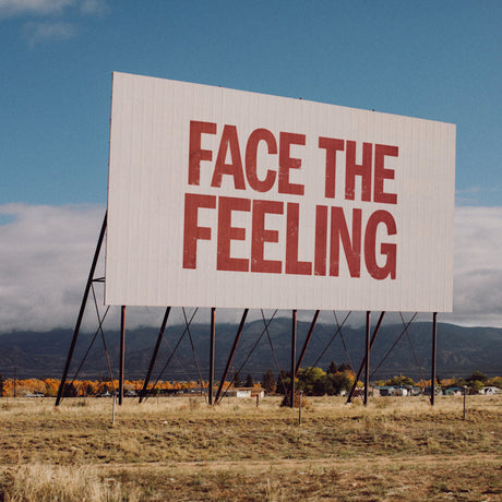 Jobi Riccio - Face the feeling (LP) - Velvet Music
