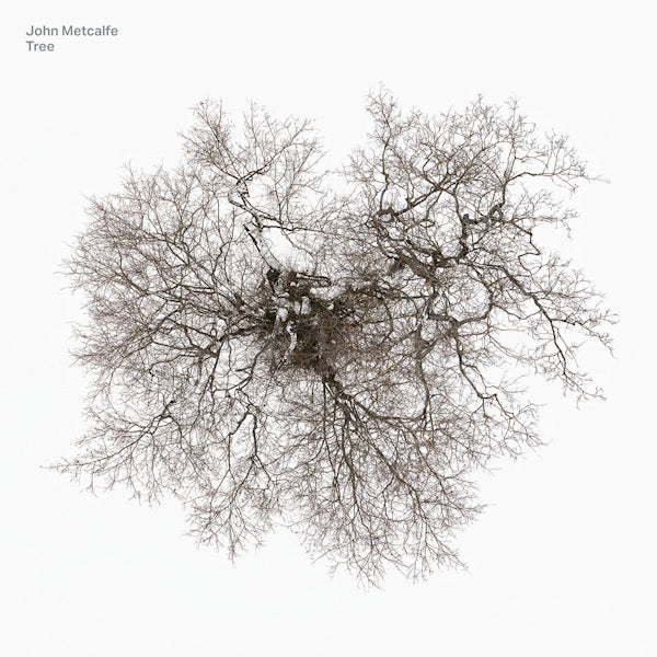 John Metcalfe - Tree (LP) - Velvet Music