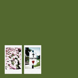 John Moreland - Visitor (LP) - Velvet Music