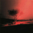 Joji - Piss in the wind (CD) - Velvet Music