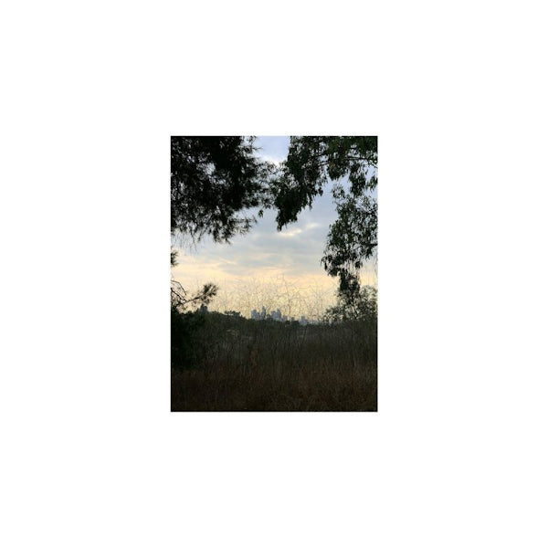 Jon Porras - Arroyo (LP) - Velvet Music