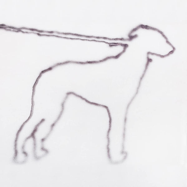 Jonah Yano - Portrait of a dog (CD) - Velvet Music