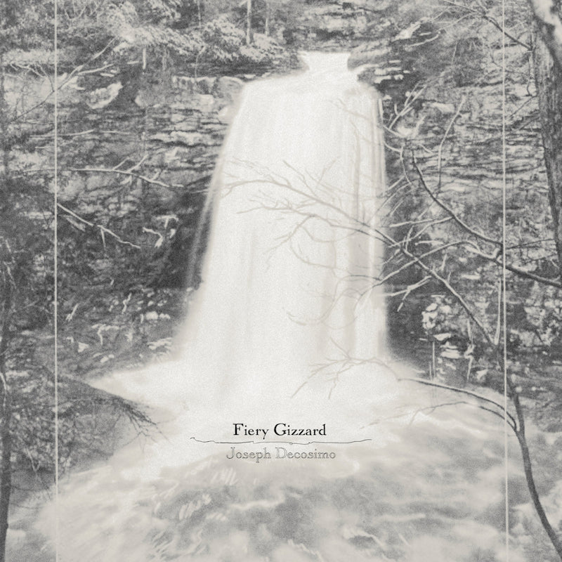 Joseph Decosimo - Fiery gizzard (CD)
