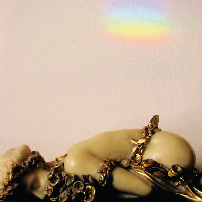 Josephine Foster - No more lamps in the (CD)