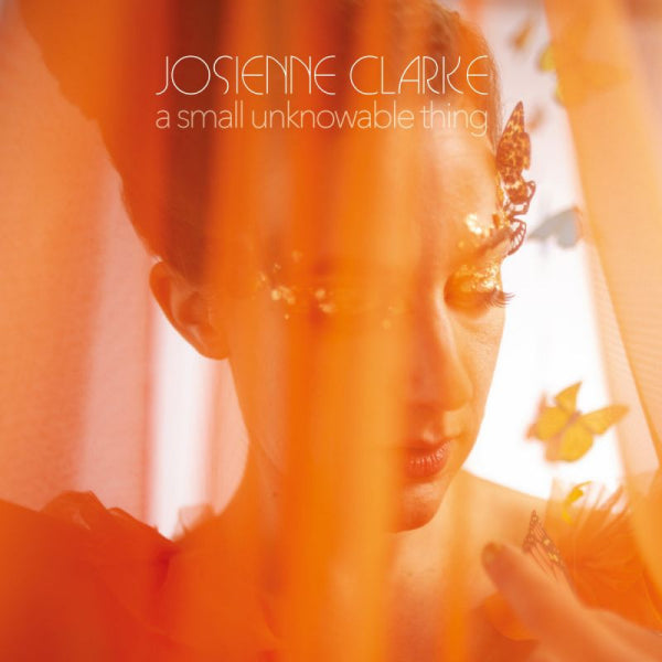 Josienne Clarke - A small unknowable thing (LP)