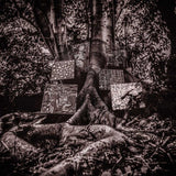 Kamasi Washington - Harmony of difference (LP) - Velvet Music