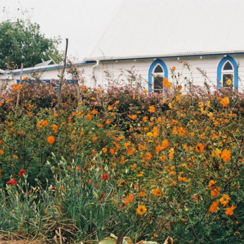 Kane Strang - Blue cheese (CD)