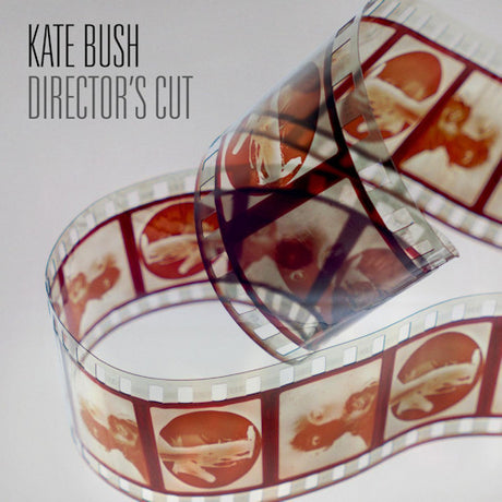 Kate Bush - Director's cut (LP) - Velvet Music