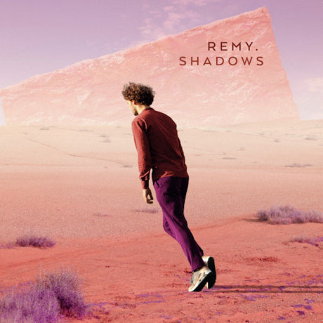 Remy Van Kesteren - Shadows (LP) - Velvet Music
