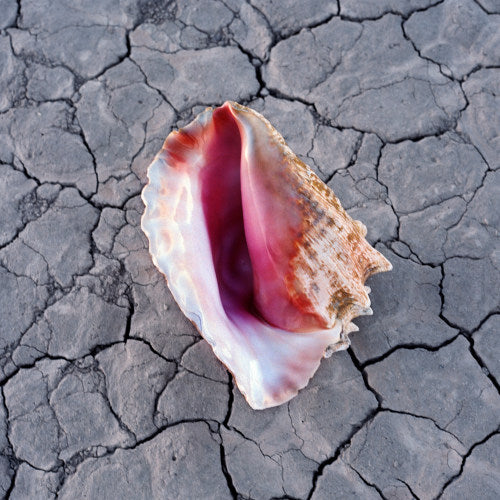The Killers - Wonderful wonderful -deluxe edition- (CD)