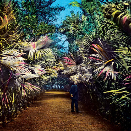 Tim Knol - Cut the wire (LP) - Velvet Music