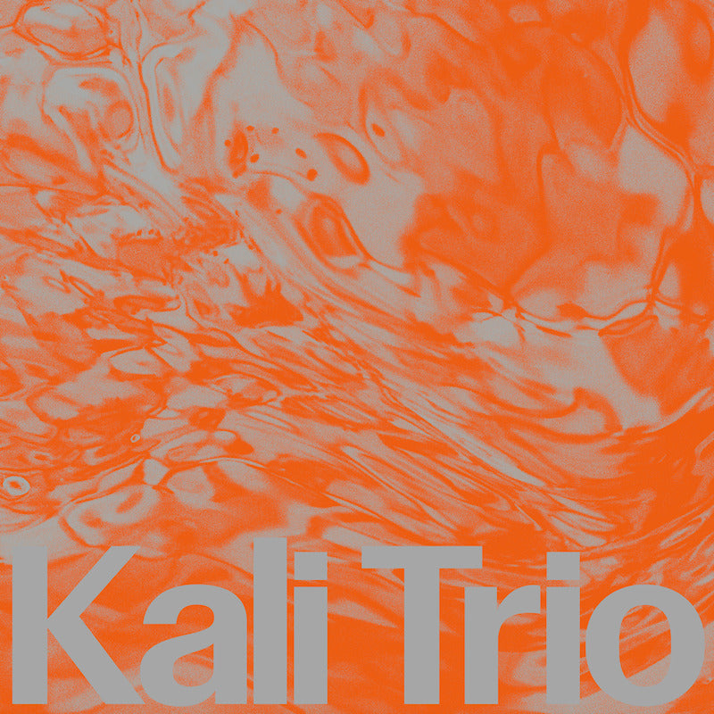 Kali Trio - The playful abstract (vinyl) (LP)
