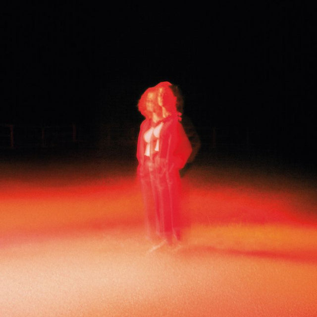 Katherine Priddy - These frightening machines (LP) - Velvet Music