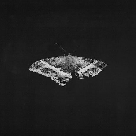 Kendrick Lamar - To pimp a butterfly (LP) - Velvet Music