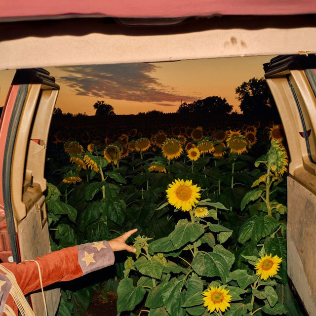 Kevin Morby - Little wide open (CD) - Velvet Music