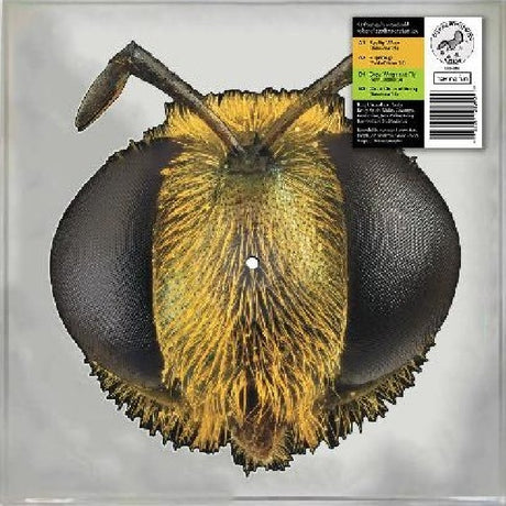 King Gizzard & The Lizard Wizard - Big Fig Wasp (LP) - Velvet Music